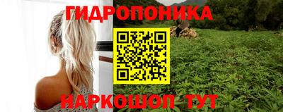 прущие крисы Малгобек