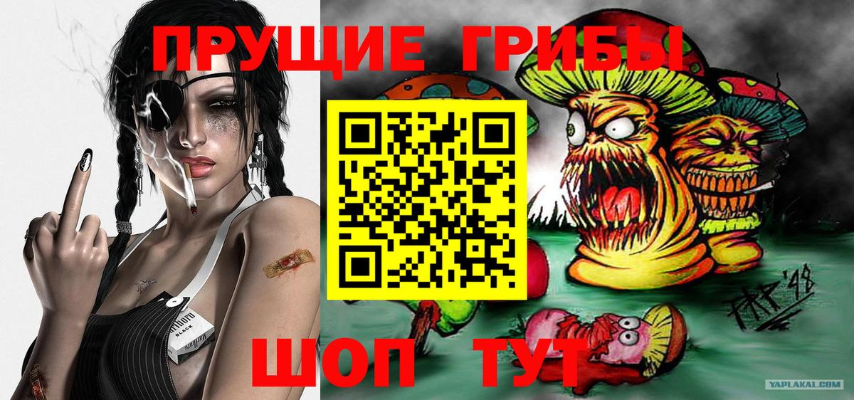 Джанкой  купить  сайты  Вход с VPN  Псилоцибиновые грибы мицелий 